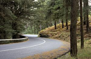 road  - "S" curve (90KB)